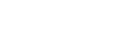 Puneri Paati